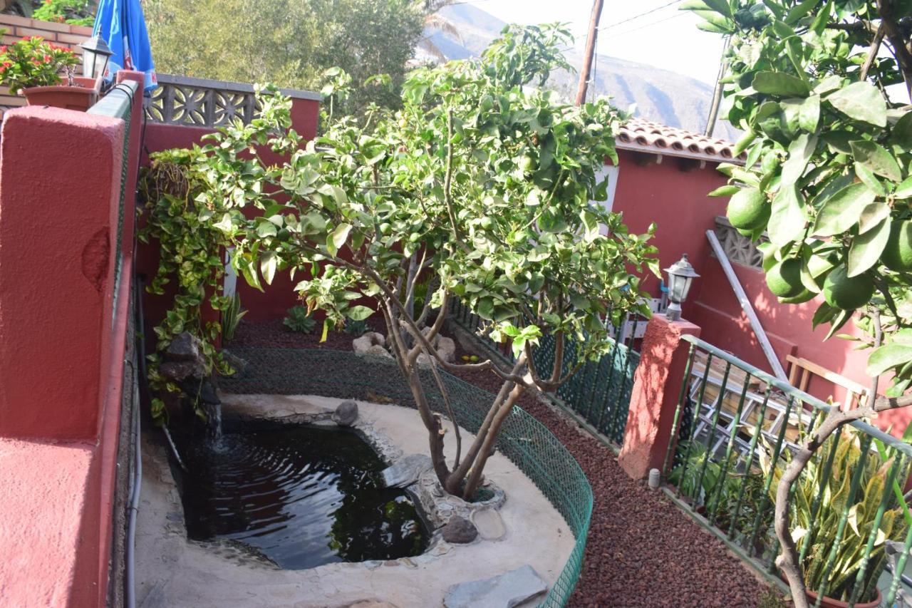 Garoe Acogedor Apartamento Araya  外观 照片